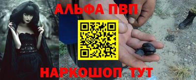шишки Дубна