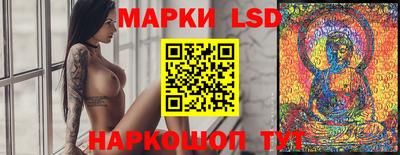 шишки Дубна