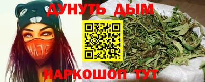 шишки Дубна