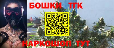 шишки Дубна